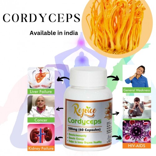 CORDYCEP
